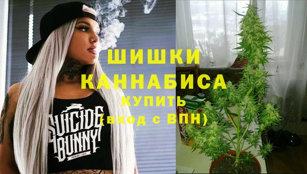 гидра Армянск