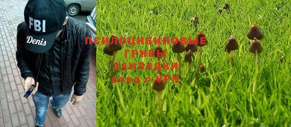 каннабис Арсеньев