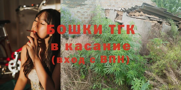 гидра Армянск