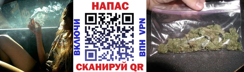 Бошки Шишки ГИДРОПОН  Купить закладки  Лиски 